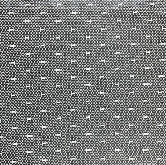 dentelle-9004